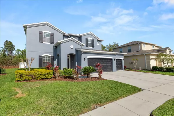 Wesley Chapel, FL 33544,4446 WILDSTAR CIR