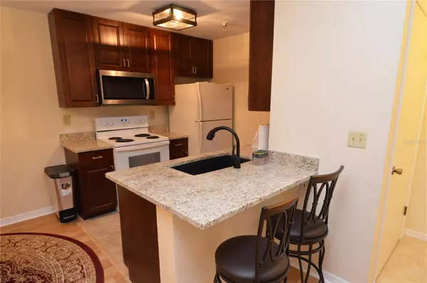 St Petersburg, FL 33702,10263 GANDY BLVD N #602 (Furnished)