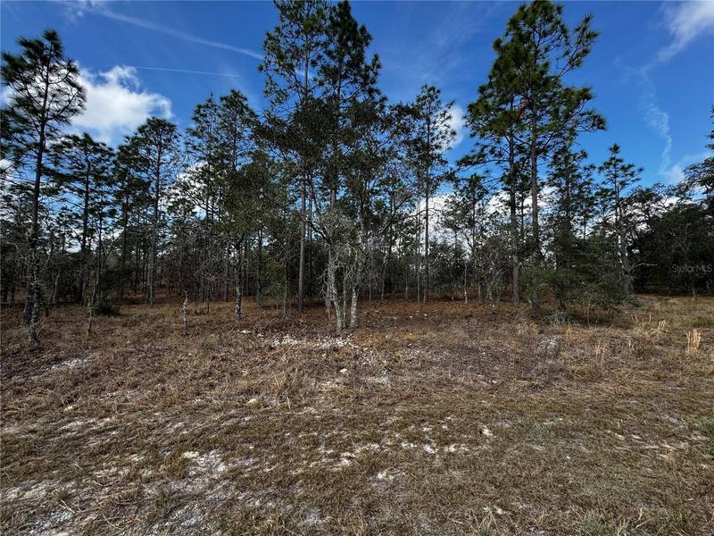 SE 131ST AVE, Dunnellon, FL 34431