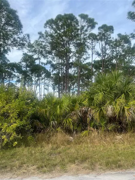 12140 FEDERAL AVE, Port Charlotte, FL 33953