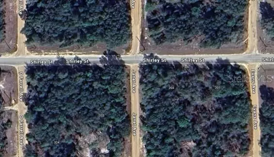 Interlachen, FL 32148,JANET AVE