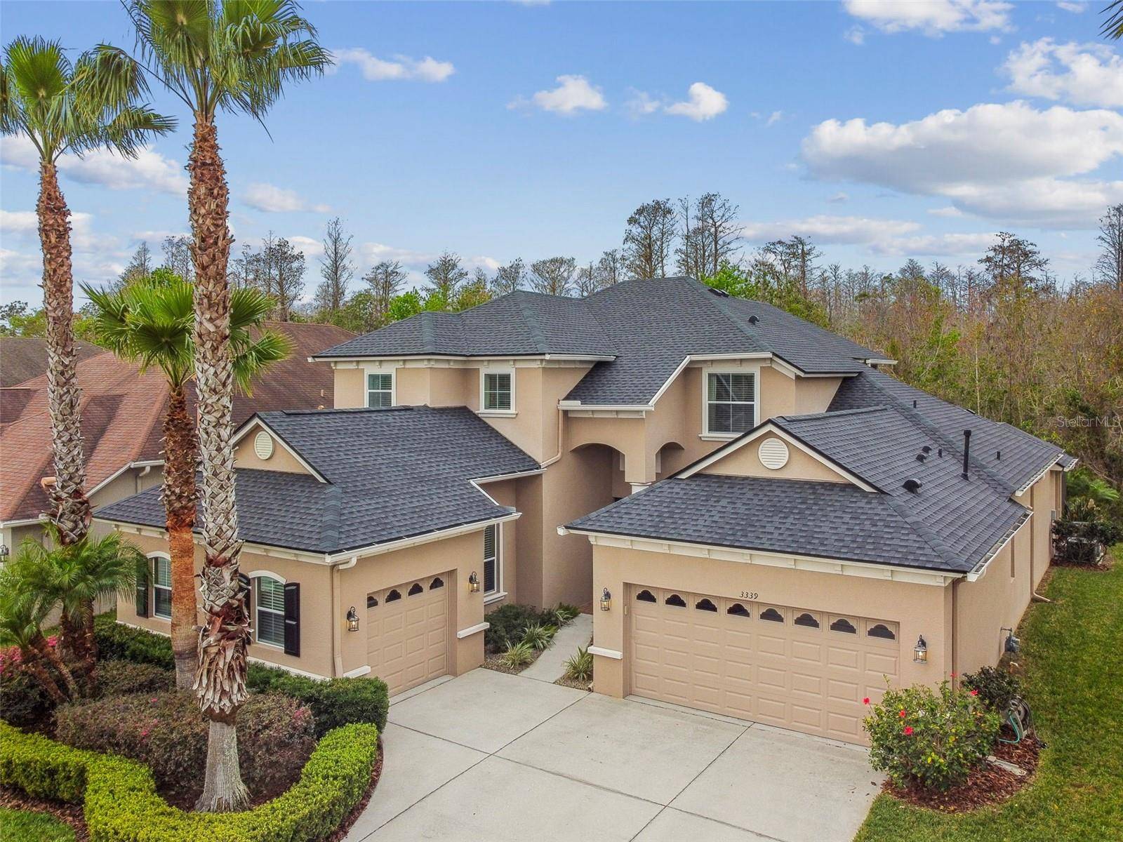 3339 DIAMOND FALLS CIR, Land O Lakes, FL 34638