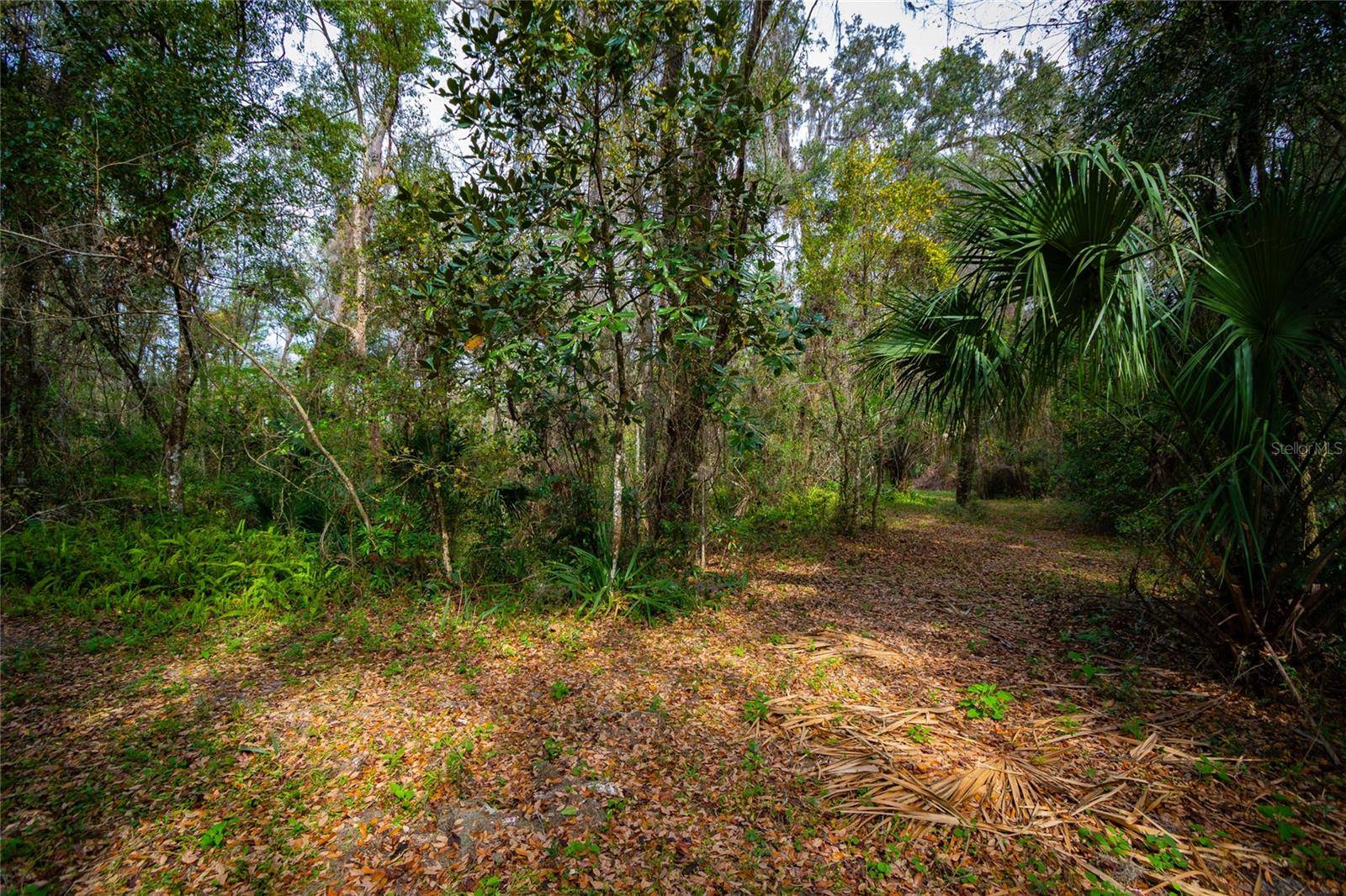 Bushnell, FL 33513,7822 CR 647