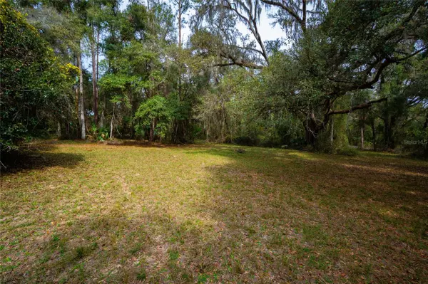 Bushnell, FL 33513,7822 CR 647