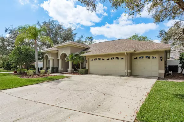 Palm Harbor, FL 34685,3321 PATTIE PL