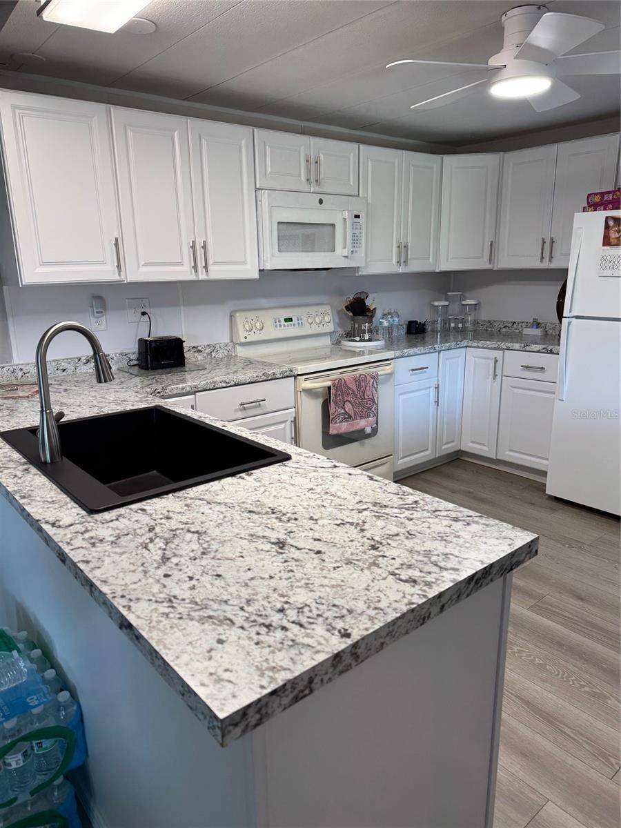 Zephyrhills, FL 33541,34543 SWEETPEA LN