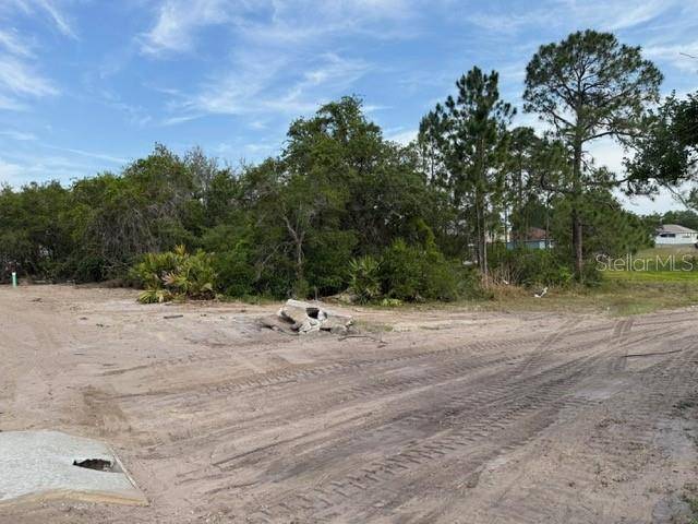 Poinciana, FL 34759,1649 REDFIN DR
