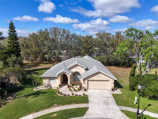 8233 DANUBIAN PL, Trinity, FL 34655