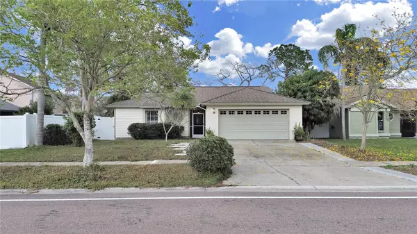 13613 FAWN RIDGE BLVD, Tampa, FL 33626