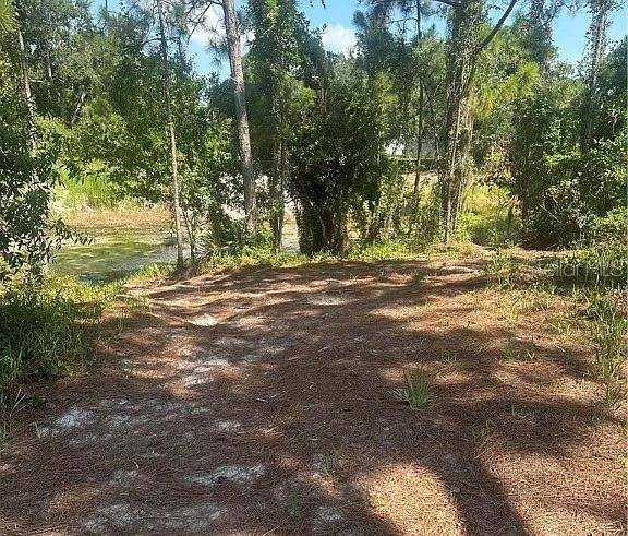 Lake Placid, FL 33852,371 E CANAL WAY NE