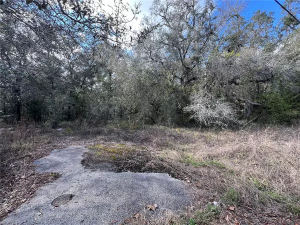 Hudson, FL 34669,UNKNOWN HAYS RD