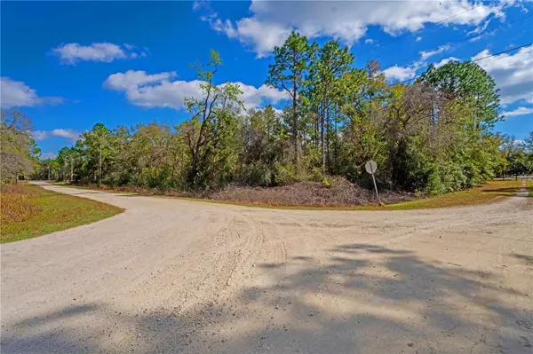 Brooksville, FL 34614,14360 CANVASBACK RD