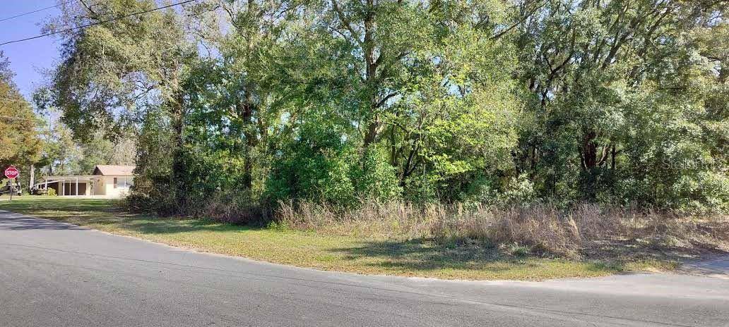Inverness, FL 34453,517 S SAVARY AVE
