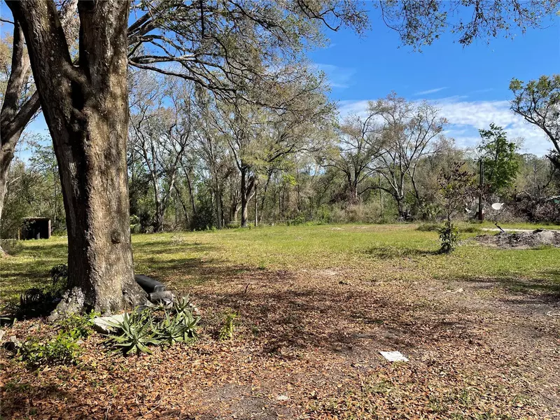 38347 HIGGINSON RD, Zephyrhills, FL 33540
