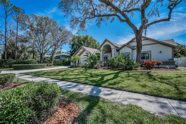 Dunedin, FL 34698,1681 SPARKLING CT