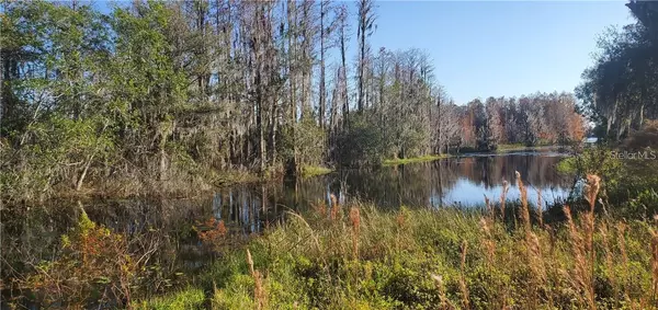 Land O Lakes, FL 34637,11124 LAKE SHORE DR