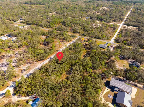 Webster, FL 33597,8149 RENOVA DR