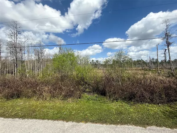 Wesley Chapel, FL 33544,GREEN WILLOW RUN #LOT 745