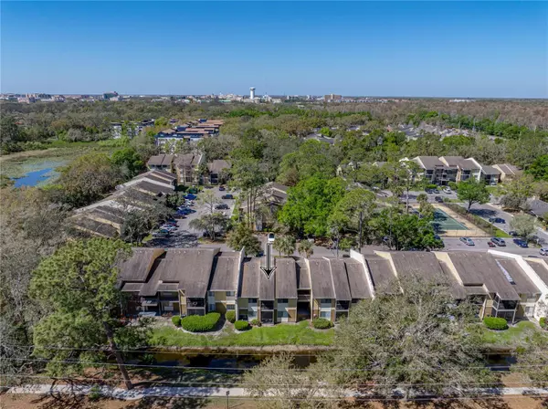 Tampa, FL 33617,13385 ARBOR POINTE CIR #203