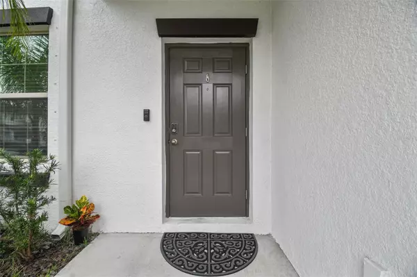 New Port Richey, FL 34653,6241 SPIDER LILY WAY