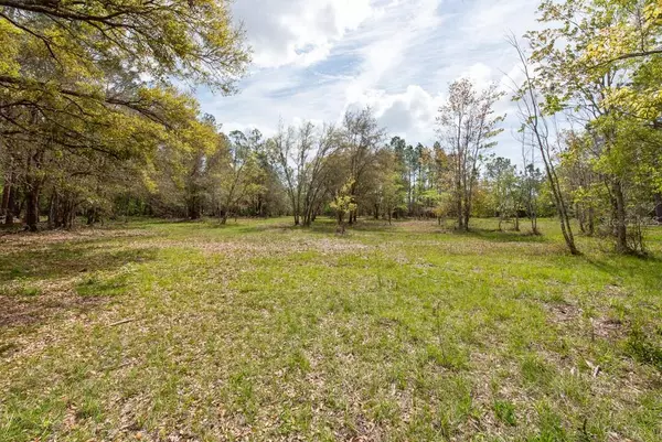 Tarpon Springs, FL 34688,331 APPALOOSA RD