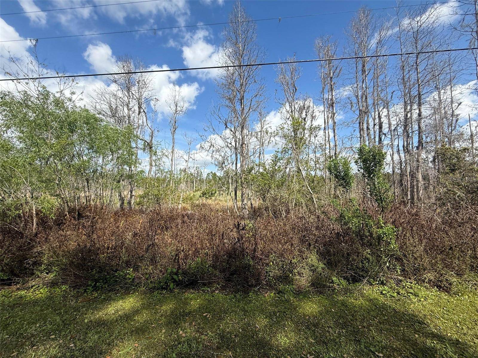 Wesley Chapel, FL 33544,GREEN WILLOW RUN #LOT 747