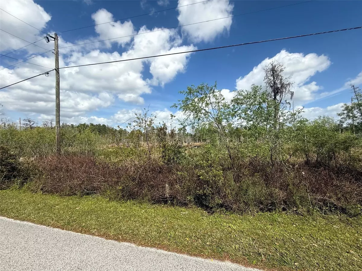 Wesley Chapel, FL 33544,GREEN WILLOW RUN #LOT 747