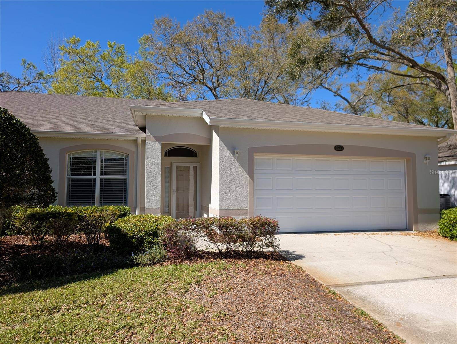 8530 ALEXANDRA ARBOR LN, Temple Terrace, FL 33637