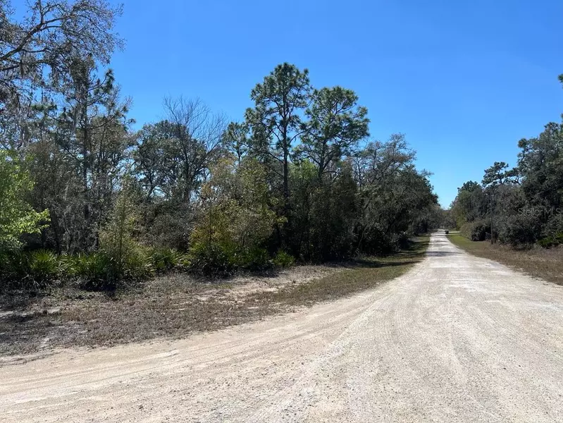 0 NORTHWEST AVE #Lot 32, Webster, FL 33597