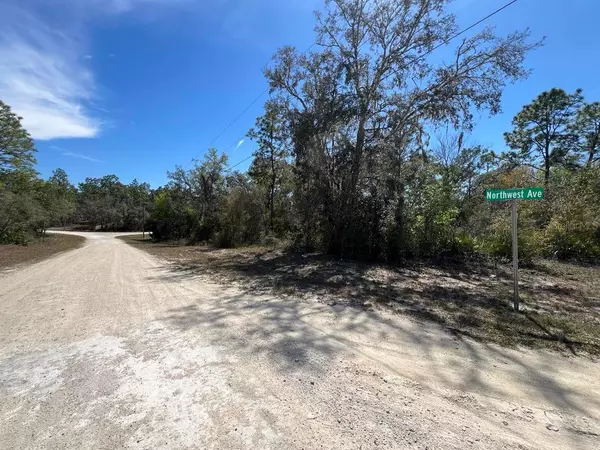 Webster, FL 33597,0 NORTHWEST AVE #Lot 32