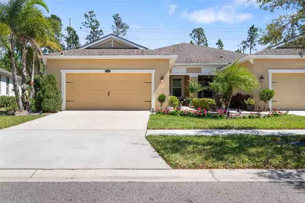 Riverview, FL 33569,11714 WROUGHT PINE LOOP