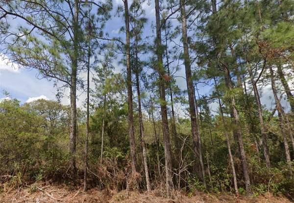 159 SHOREWOOD ST, Georgetown, FL 32139