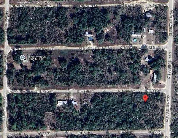 Williston, FL 32696,NE 66TH LN