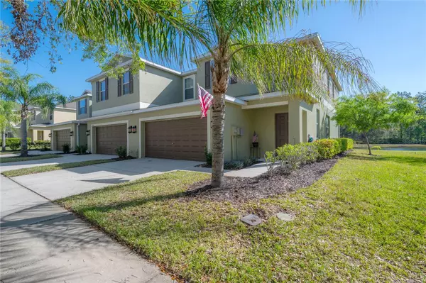 Tampa, FL 33647,20319 STARFINDER WAY