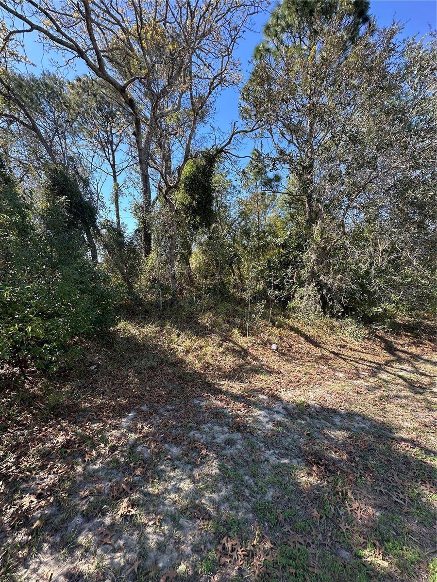 3069 AMHERST AVE, Spring Hill, FL 34609