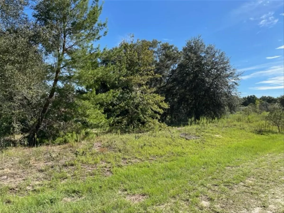 Dunnellon, FL 34432,SW 104TH ST