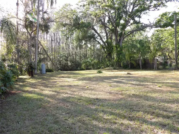 Lutz, FL 33558,17506 DARBY LN
