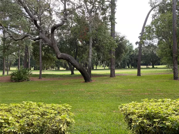 Palm Harbor, FL 34684,36750 US HIGHWAY 19 N #19-115