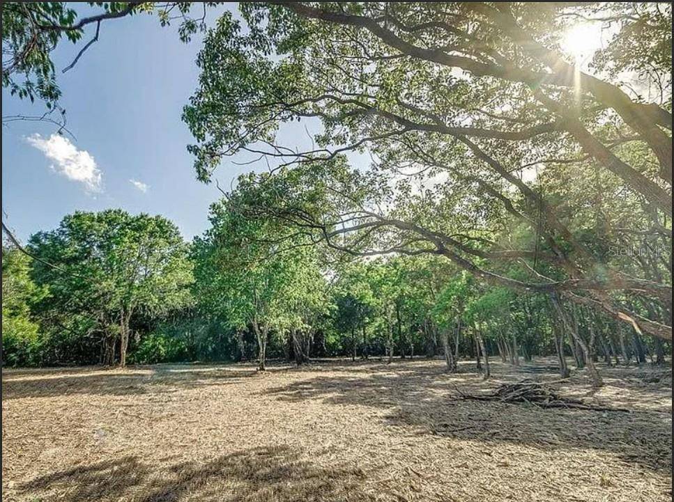 Lakeland, FL 33810,4206 KNIGHTS STATION RD