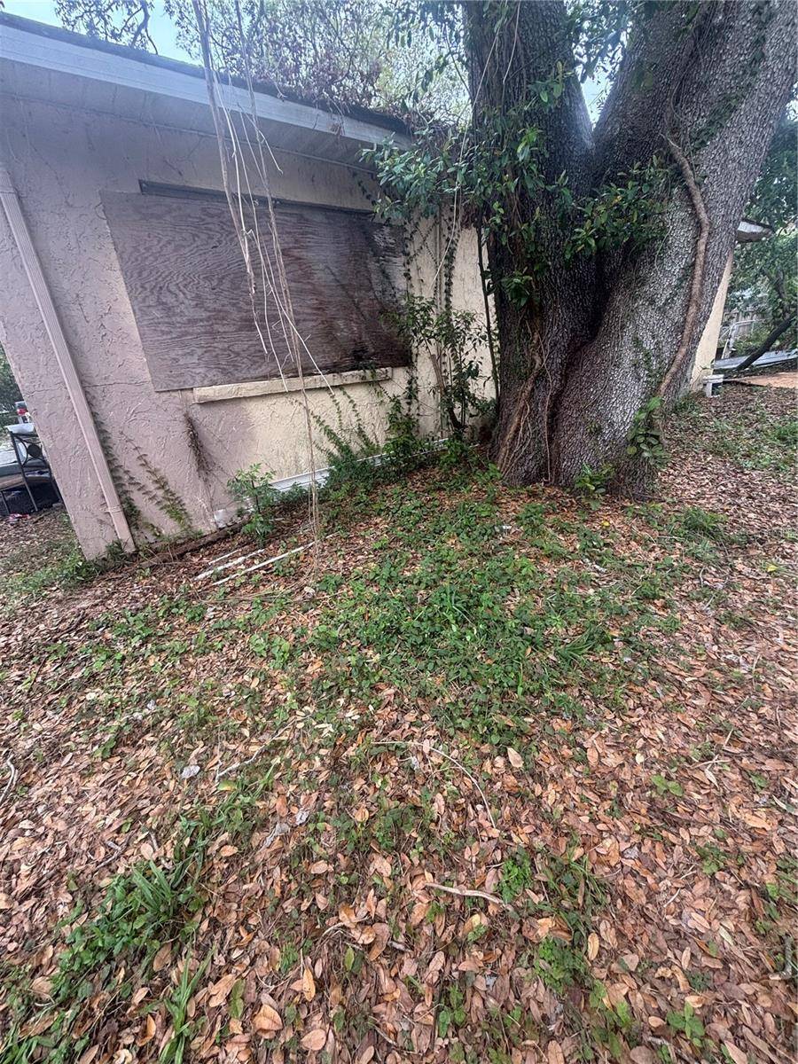 Tampa, FL 33617