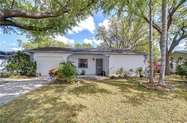 14041 ARBOR KNOLL CIR,  Tampa,  FL 33625