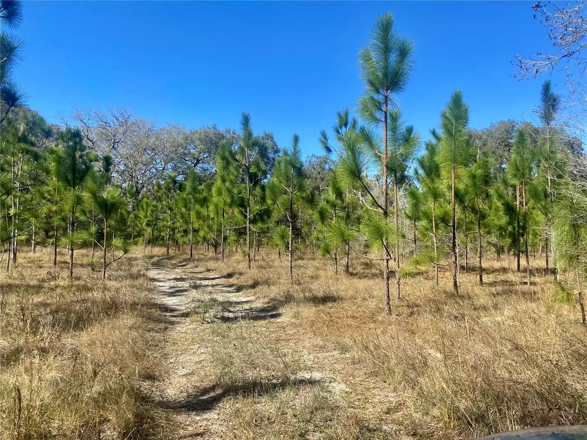 Spring Hill, FL 34610,01 UNNAMED