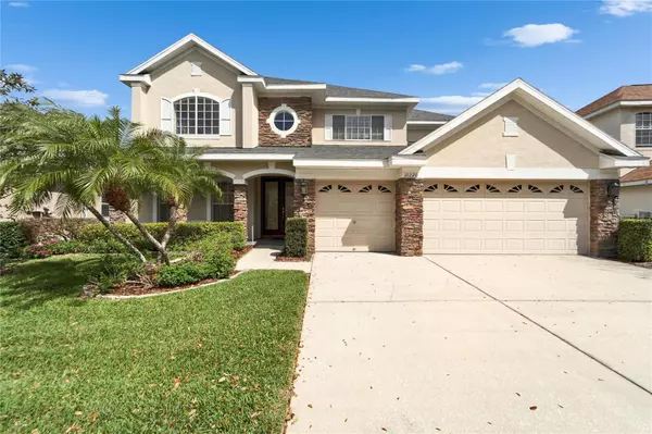 10220 DEERCLIFF DR,  Tampa,  FL 33647