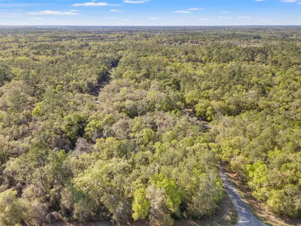 Citrus Springs, FL 34434,612 W VIRGINIS DR