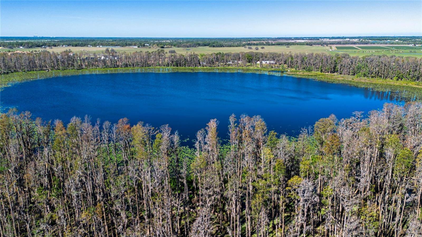 Wimauma, FL 33598,1 ALDERMAN TURNER RD