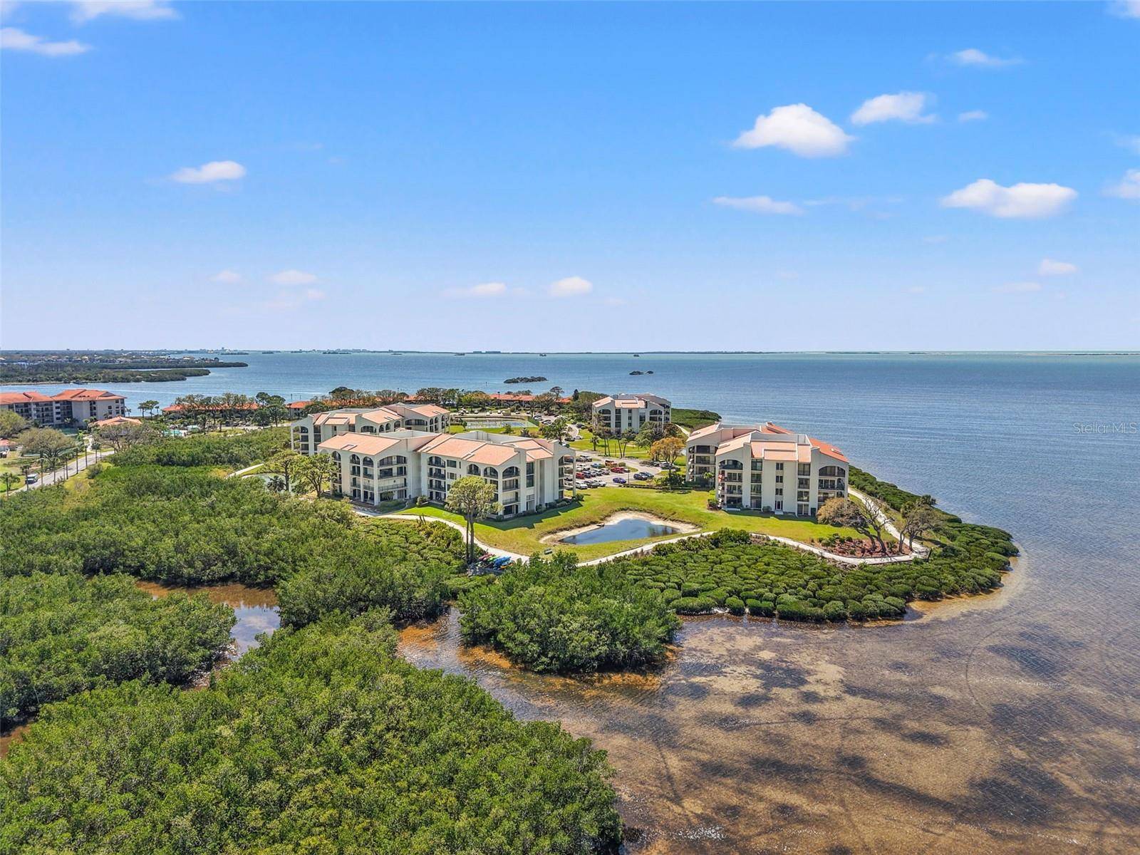 Tarpon Springs, FL 34689,234 MARINER DR #234