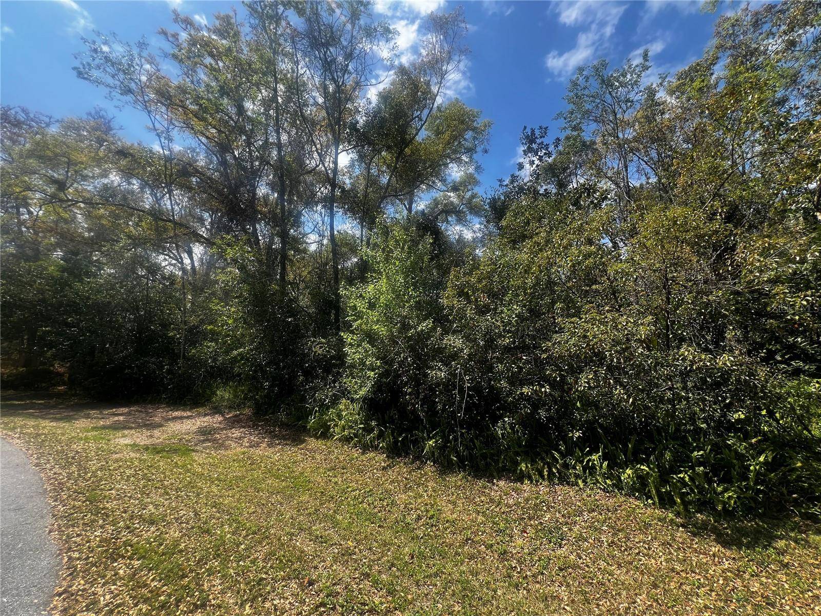 Citrus Springs, FL 34434,2232 S TEE CIR