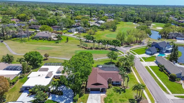 Oldsmar, FL 34677,10 ARBOR LN