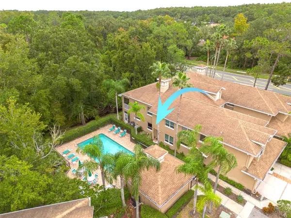 Palm Harbor, FL 34685,4206 PRESERVE PL