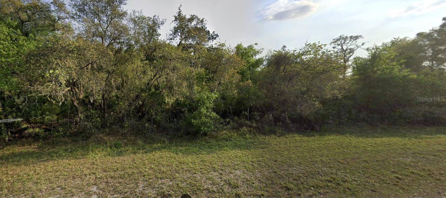 Indian Lake Estates, FL 33855,SILVER PALM DR
